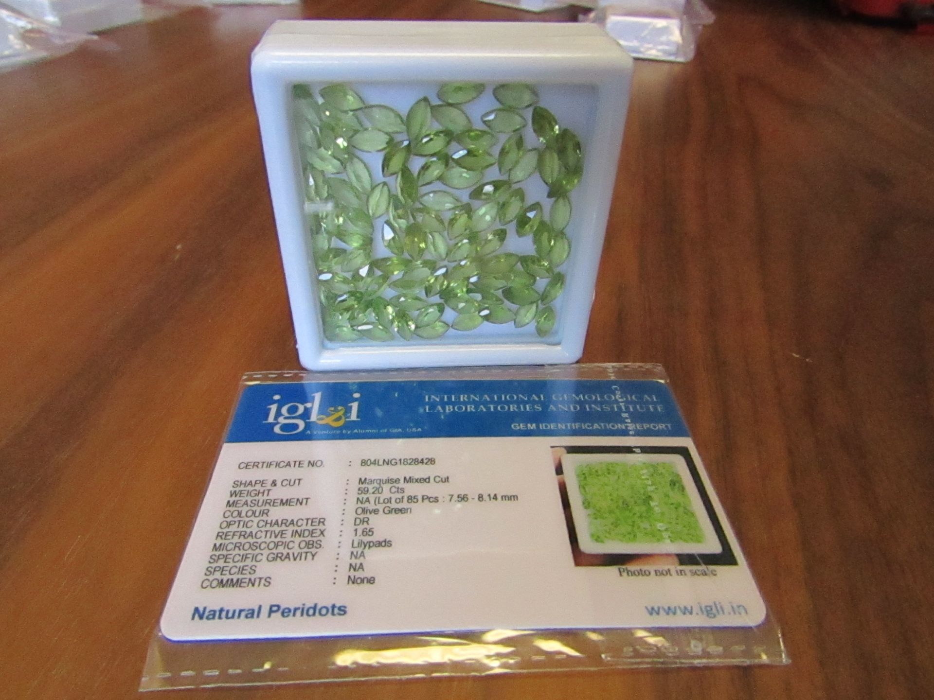 IGL&I Certified 59.20 carat 85 pieces Natural Peridot Gemstones. A fantastic collection for many