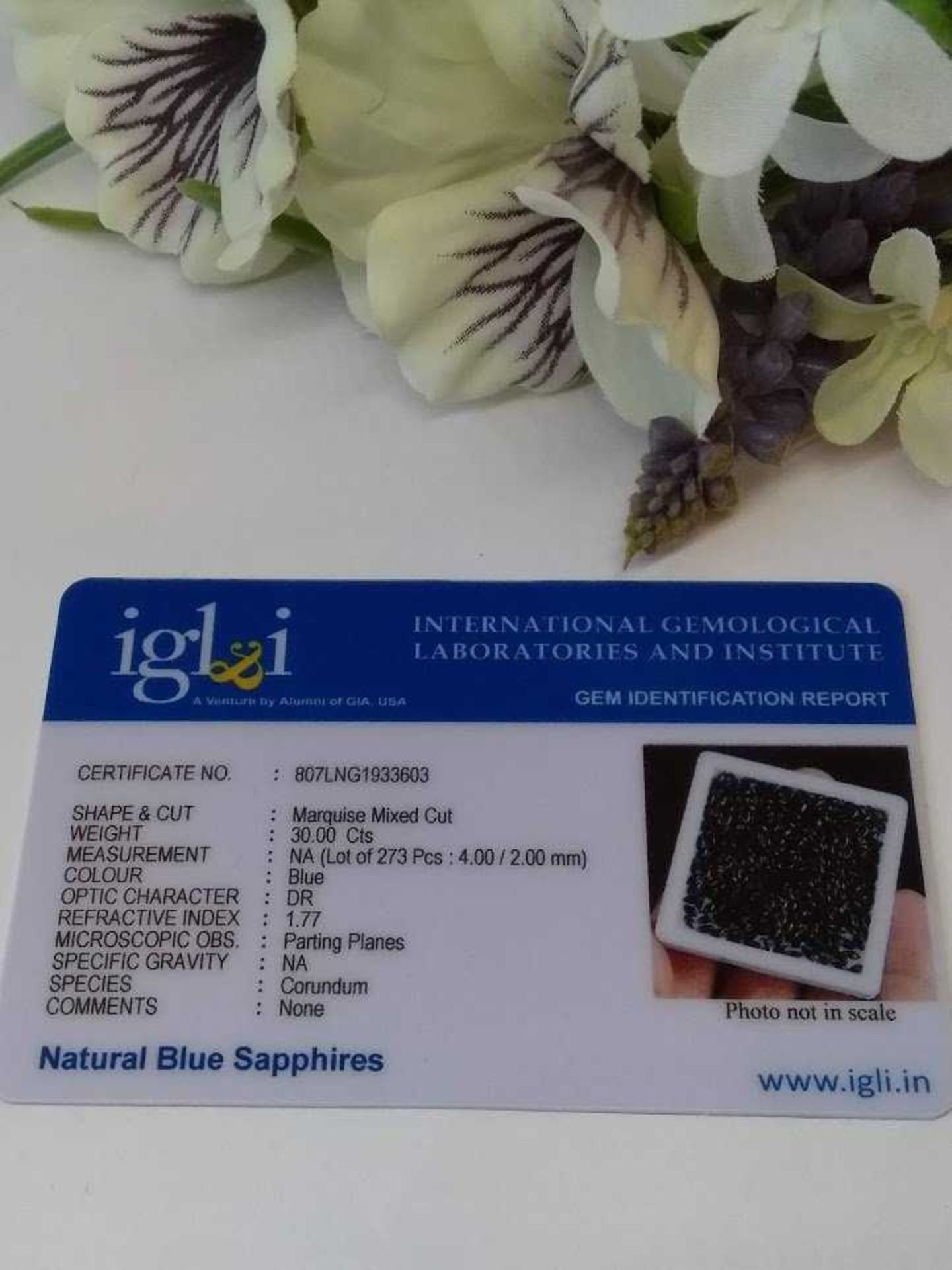 VERY HIGH VALUE - IGL&I Certified 30.00 Cts 273 Pieces Natural Untreated Sapphire Gemstones, - Image 3 of 3