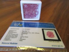 IGL&I Certified 15.60 carat 167 pieces Natural Ruby Gemstones. Untreated. A fantastic collection for