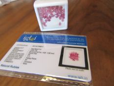 IGL&I Certified 10.60 carat 44 pieces Natural Ruby Gemstones. A fantastic collection for many