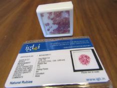 IGL&I Certified 13.85 carat 73 pieces Natural Ruby Gemstones. Untreated. A fantastic collection