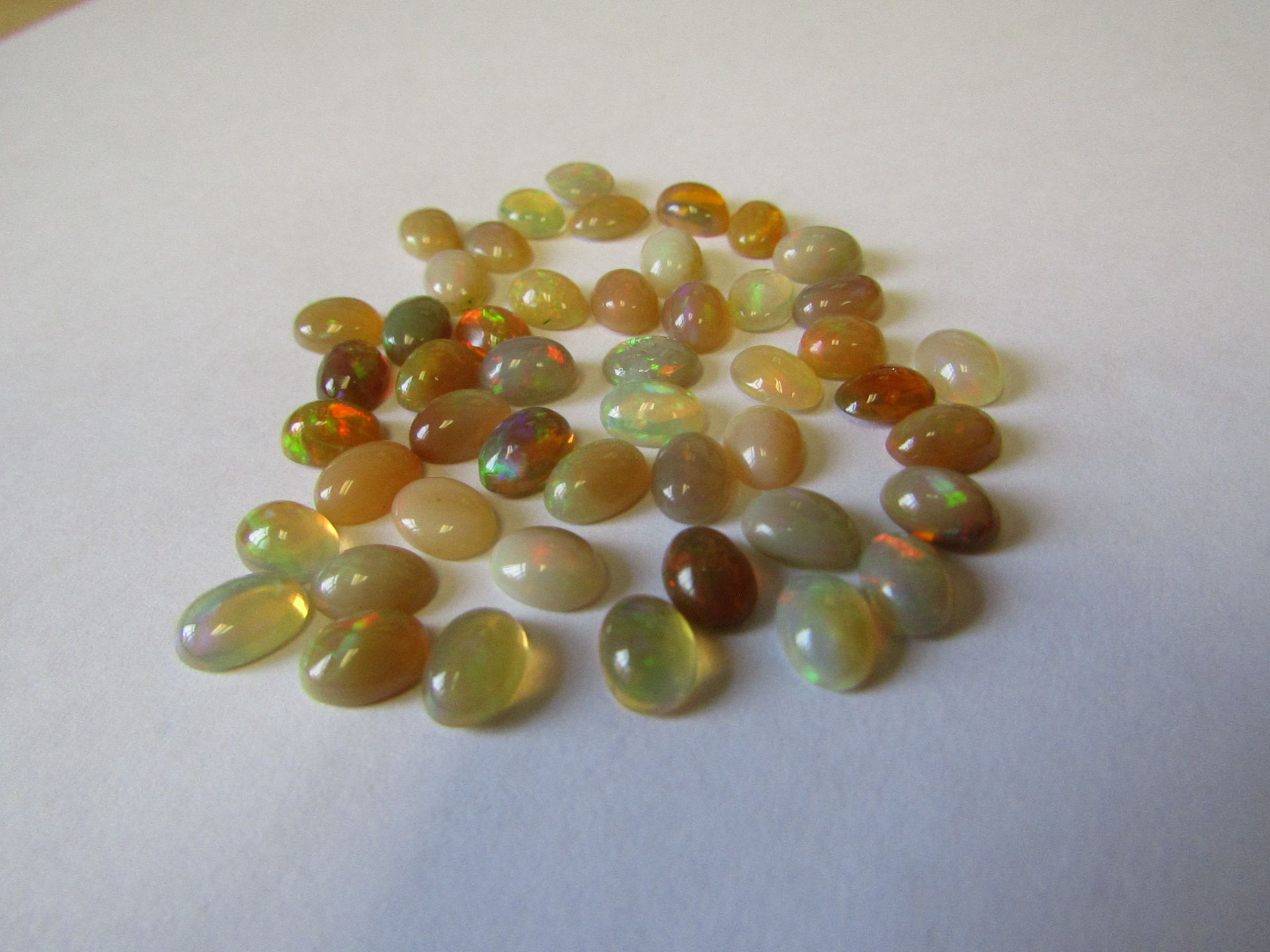 Wow! An amazing collection of Natural Ethiopia Opal Gemstones, 23.70 carat, 48 pieces. these amazing - Image 2 of 3
