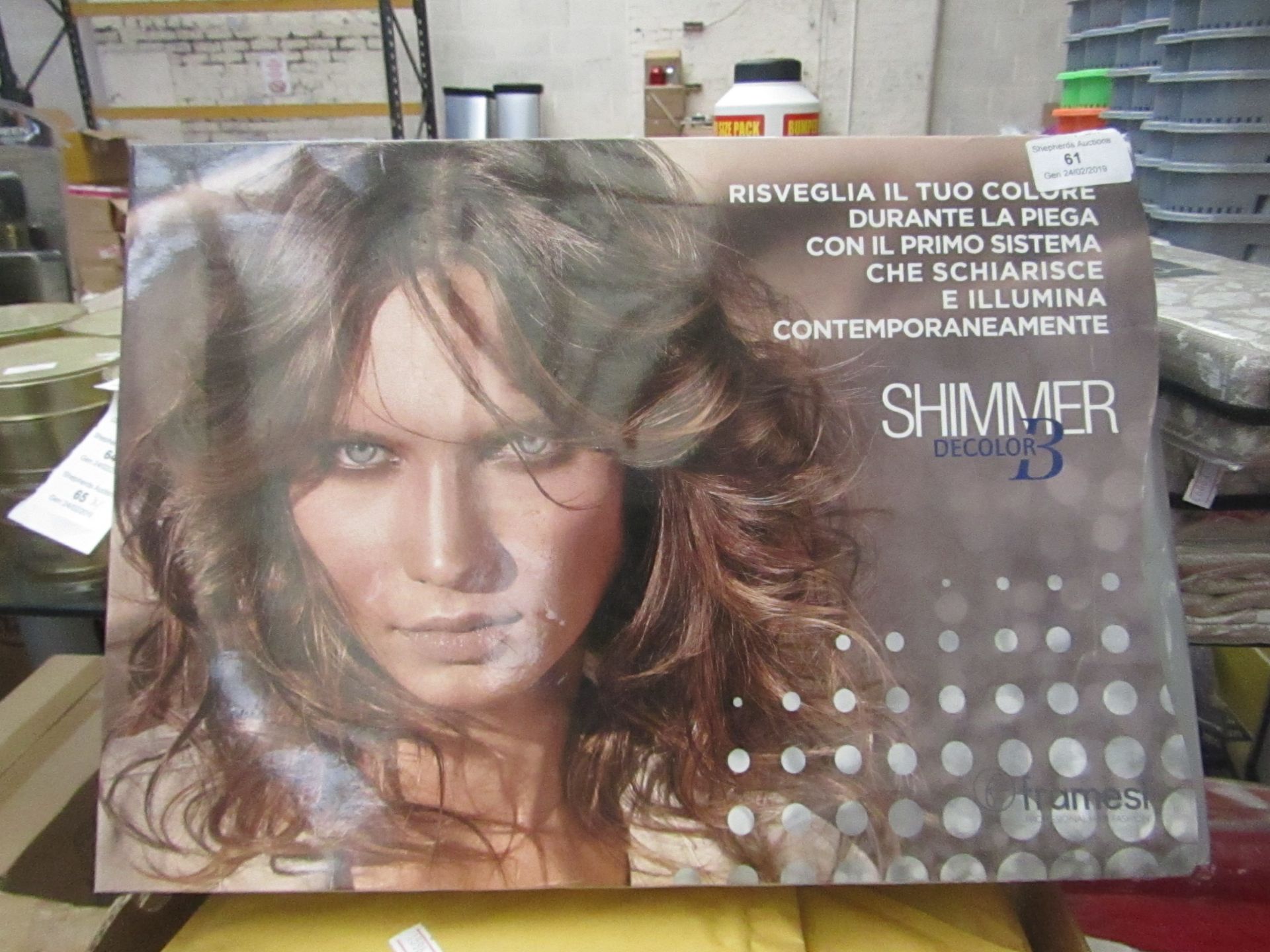 Shimmer Decolor professional hair fashion set , boxed and unchecked.