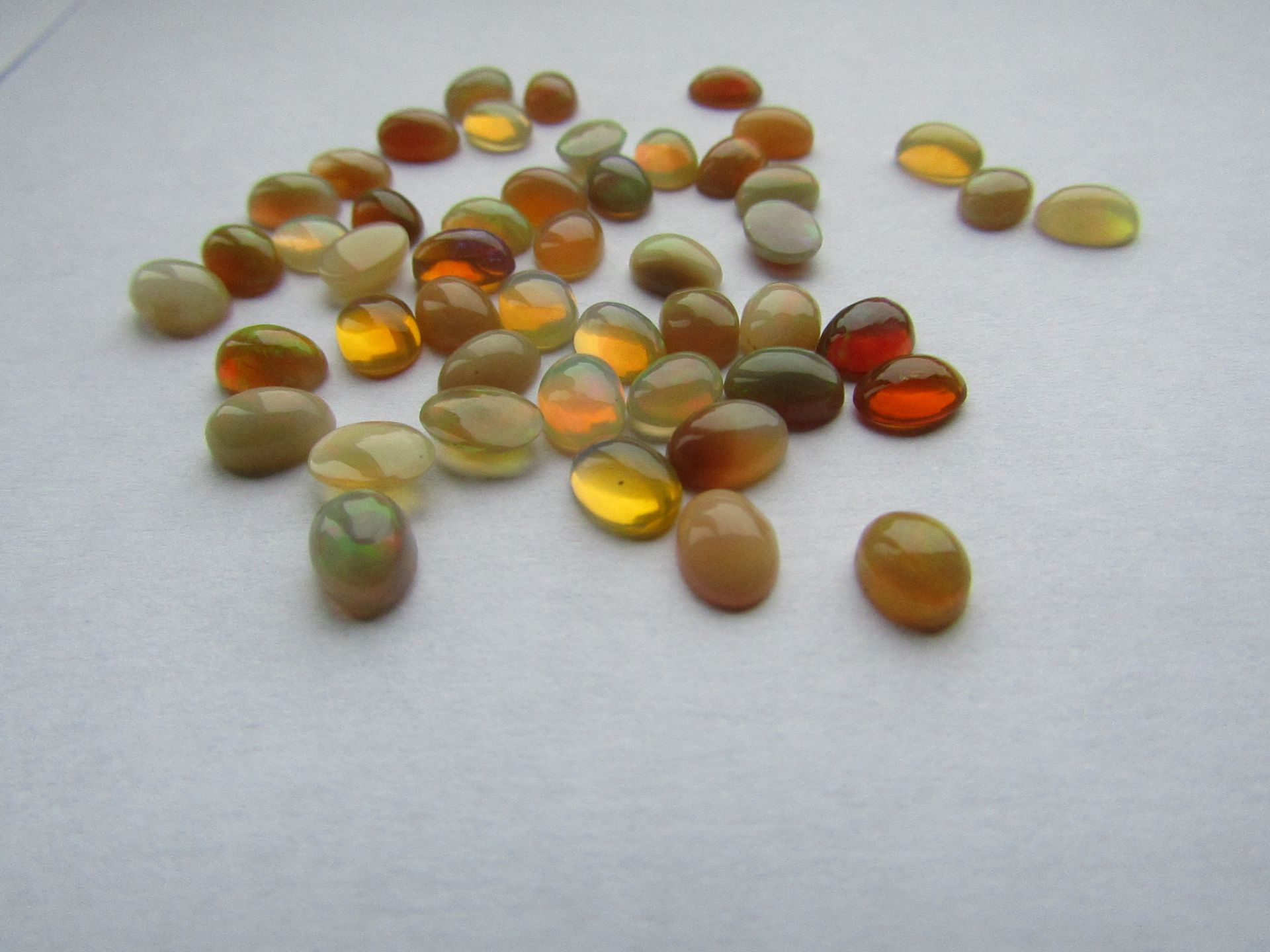 Wow! An amazing collection of Natural Ethiopia Opal Gemstones, 23.70 carat, 48 pieces. these