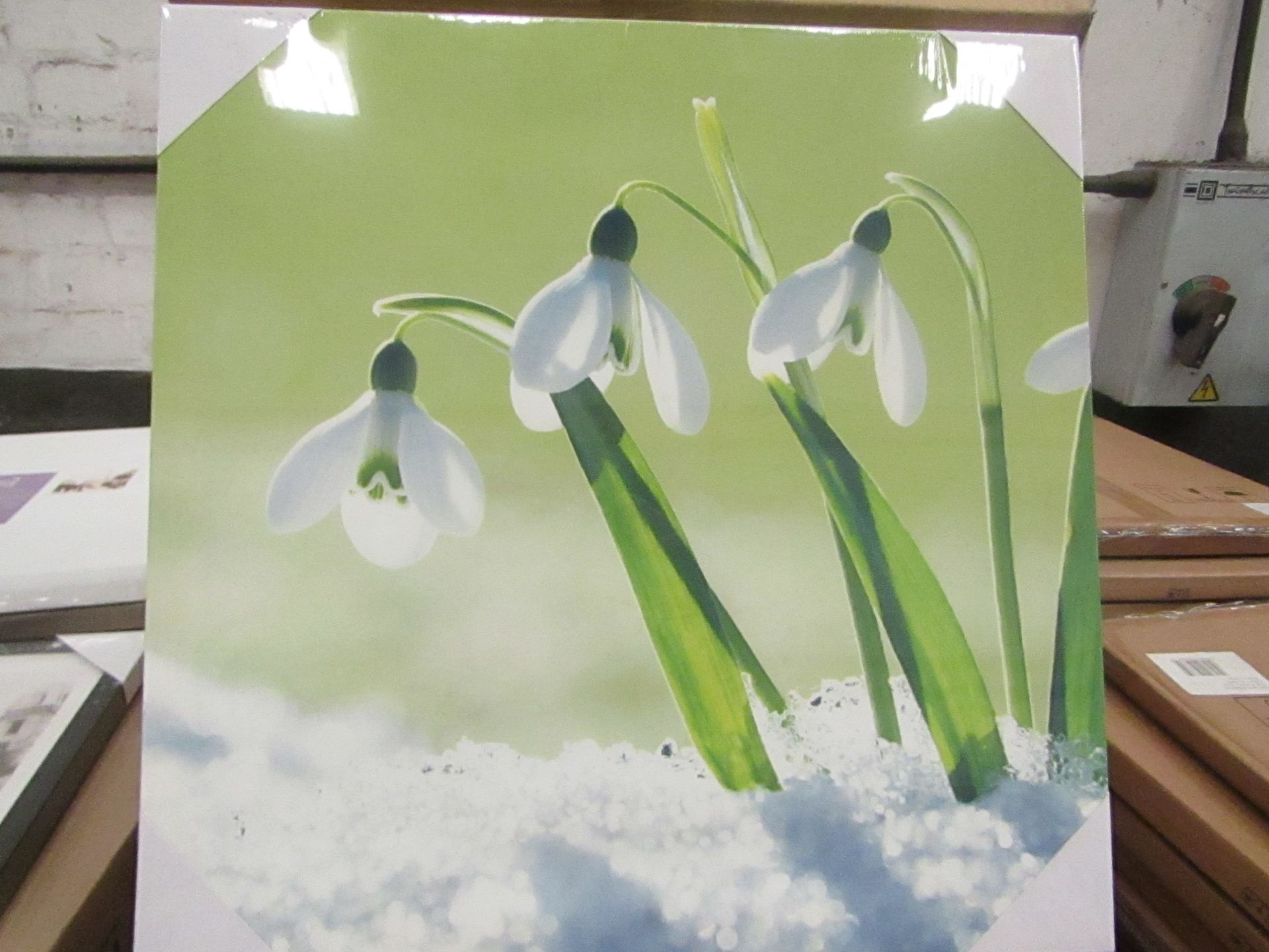 10 x "Snowdrops" Canvas Prints 48cm x 48cm new & packaged