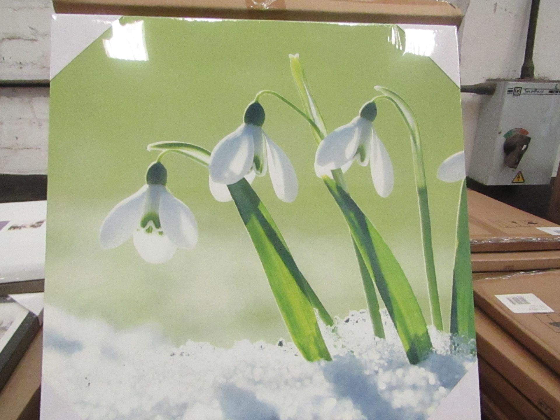 10 x "Snowdrops" Canvas Prints 48cm x 48cm new & packaged