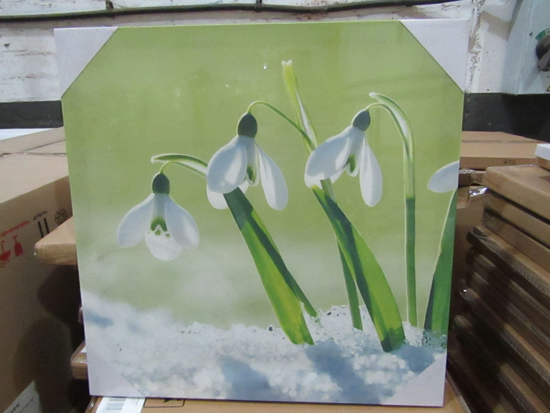 10 x "Snowdrops" Canvas Prints 48cm x 48cm new & packaged