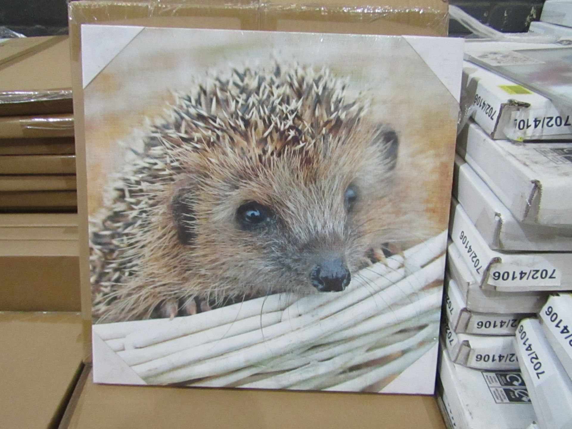 10 x "Hedgehog" Canvas Prints size 48cm x 48cm new & packaged