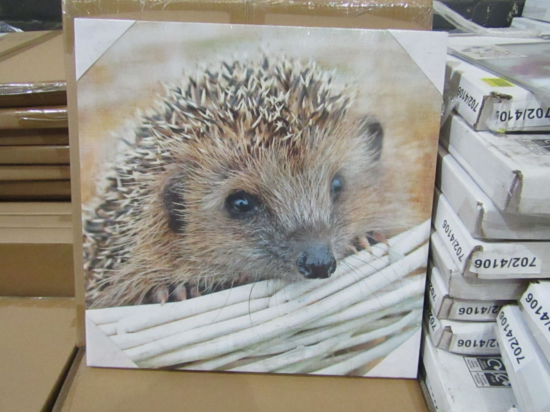 10 x "Hedgehog" Canvas Prints size 48cm x 48cm new & packaged