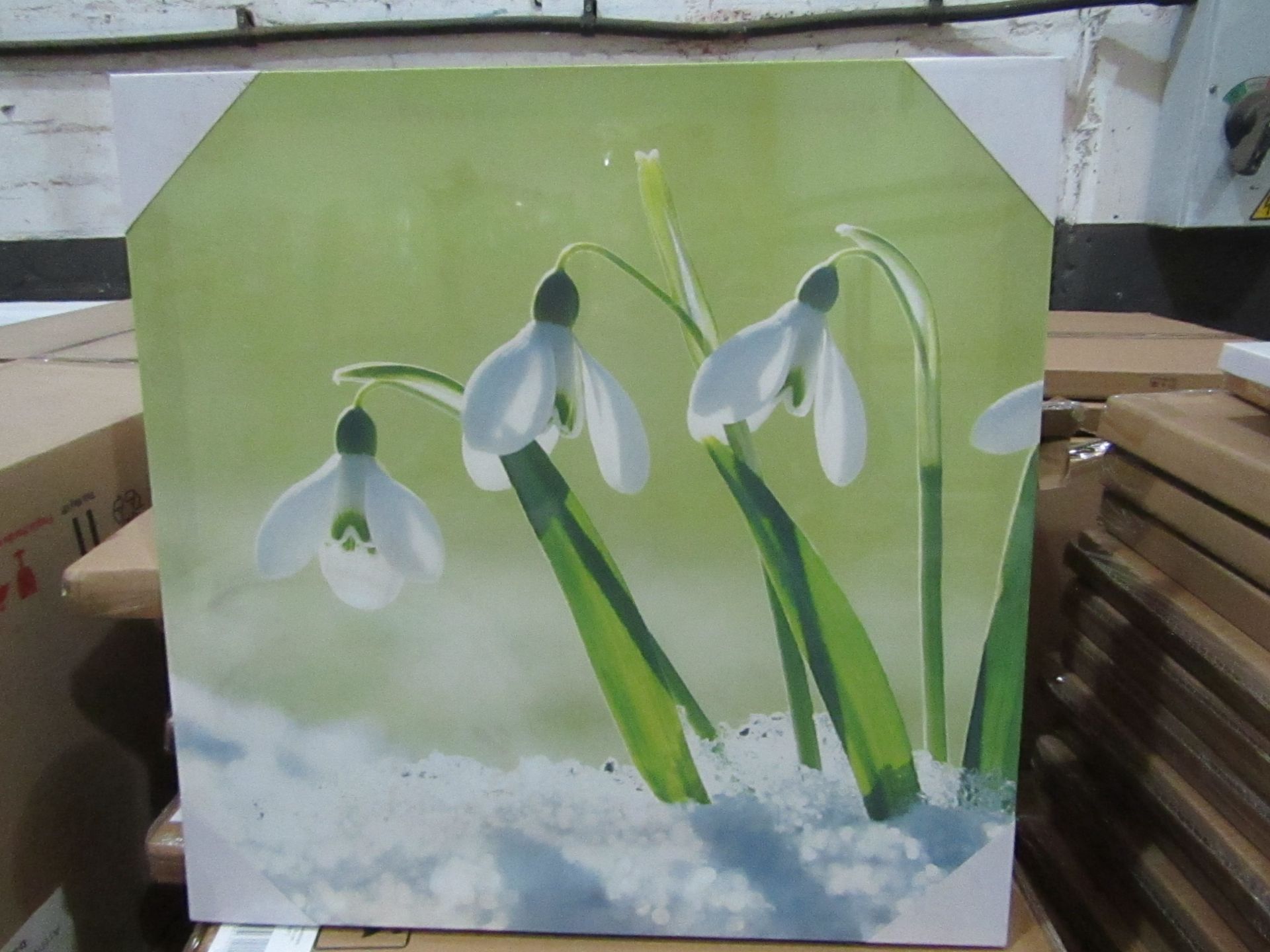 10 x "Snowdrops" Canvas Prints 48cm x 48cm new & packaged