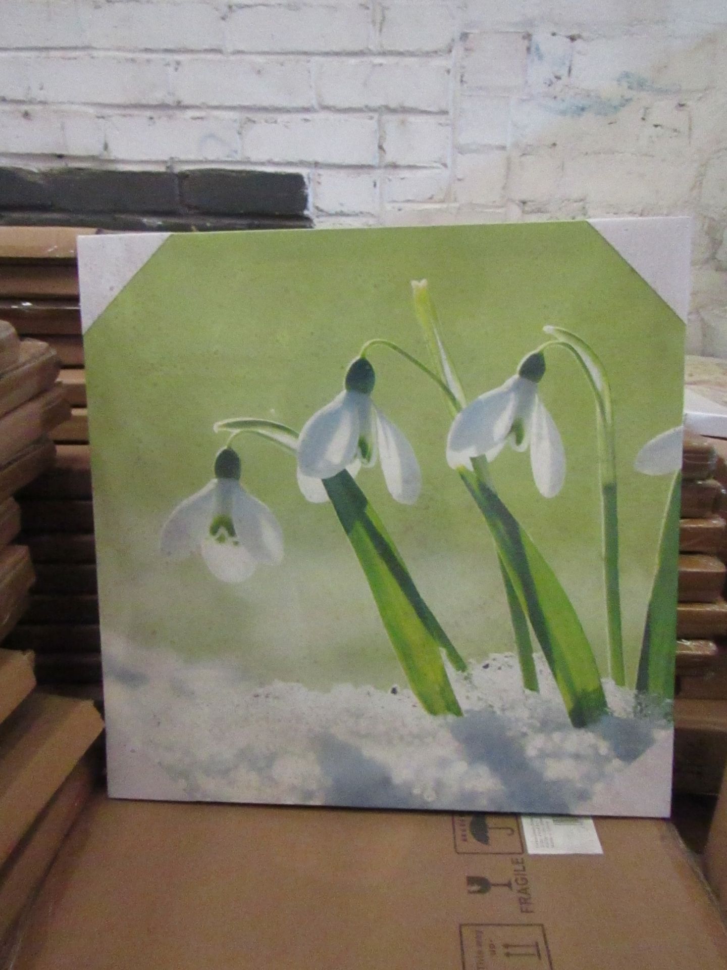 10 x "Snowdrops" Canvas Prints 48cm x 48cm new & packaged