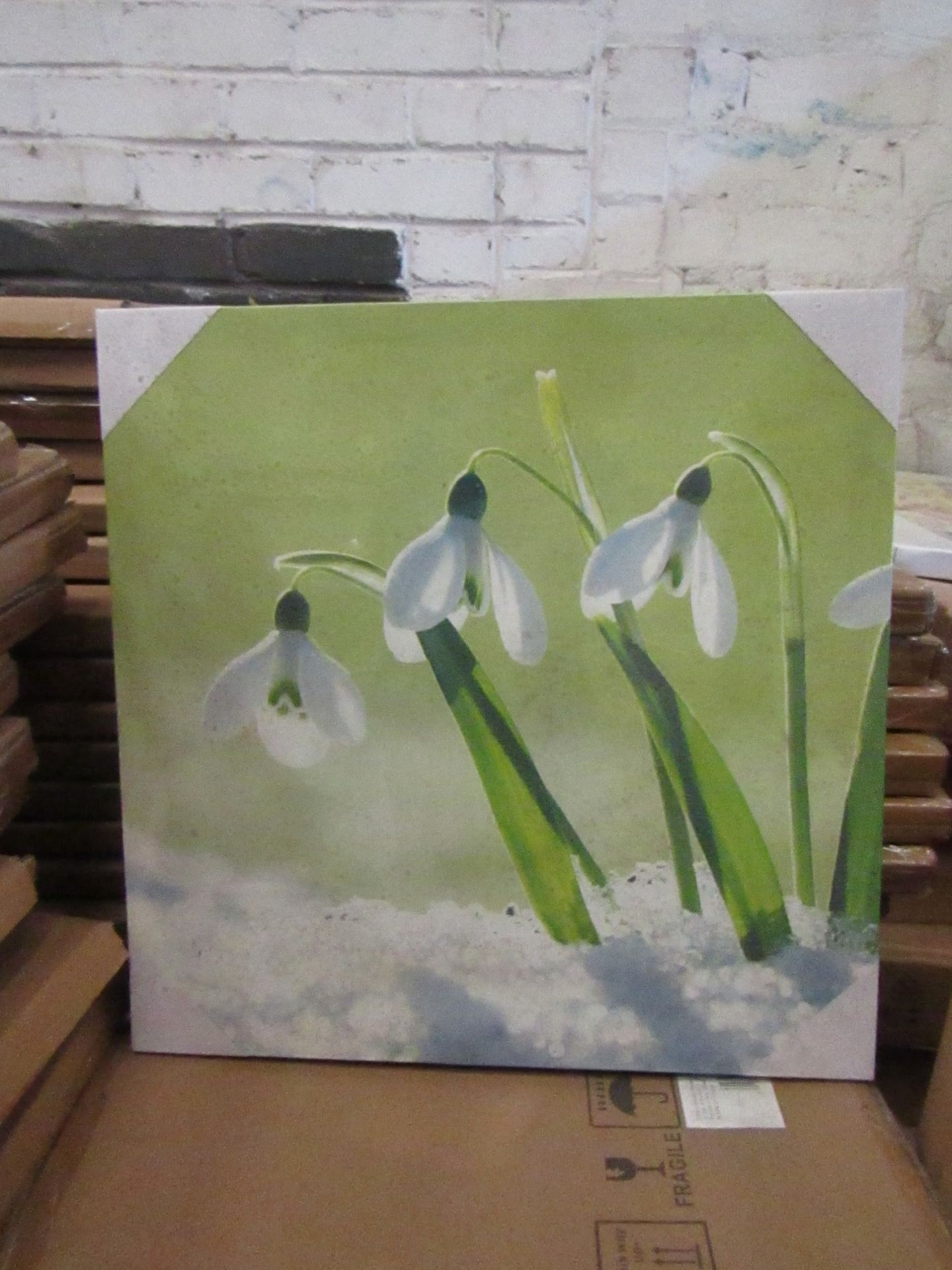 10 x "Snowdrops" Canvas Prints 48cm x 48cm new & packaged