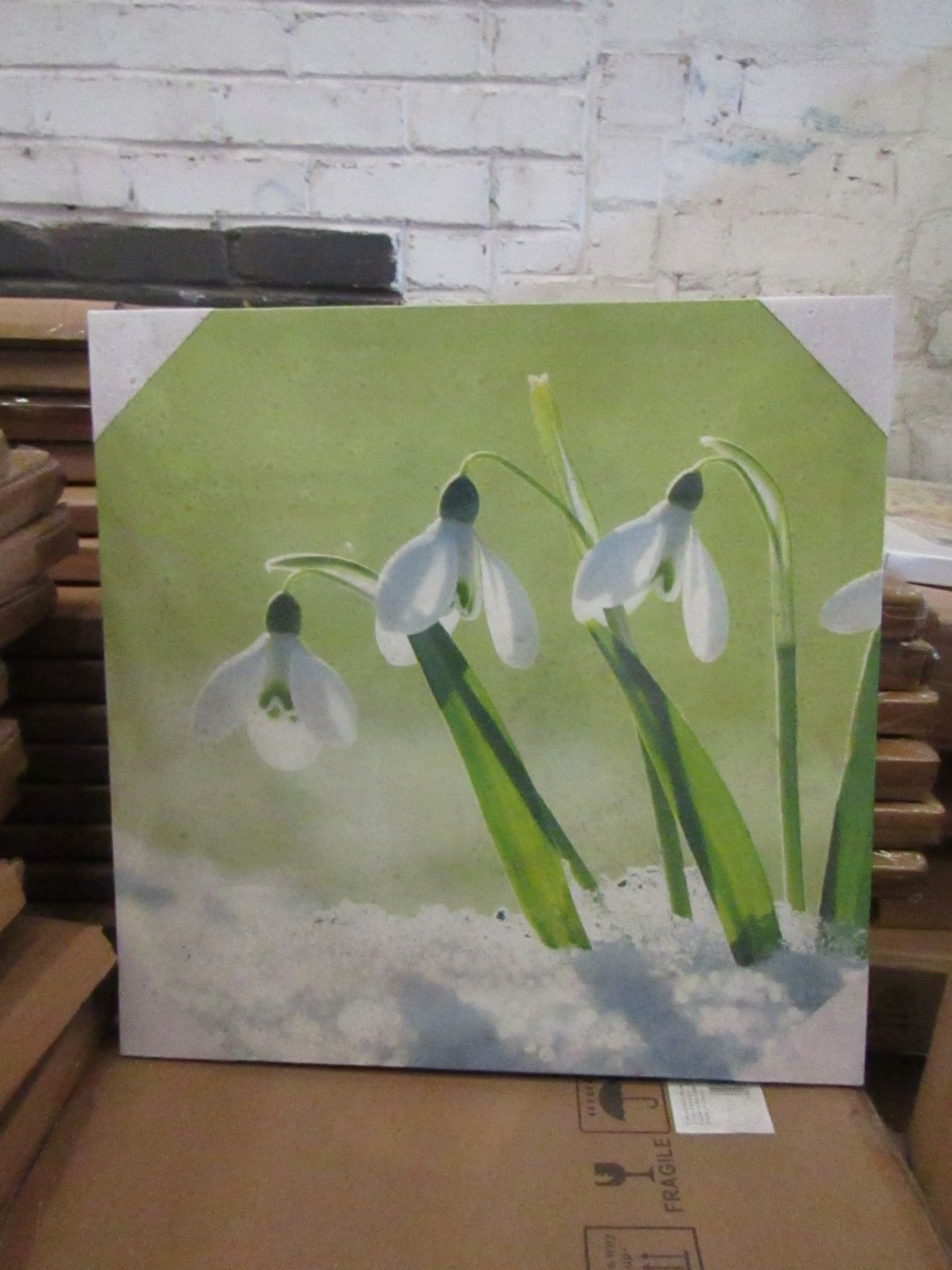 10 x "Snowdrops" Canvas Prints 48cm x 48cm new & packaged