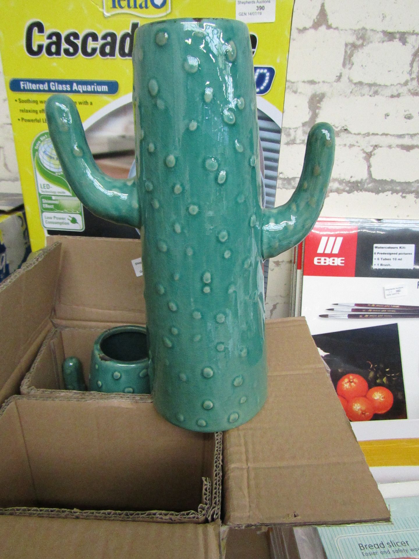 Cactus vase boxed