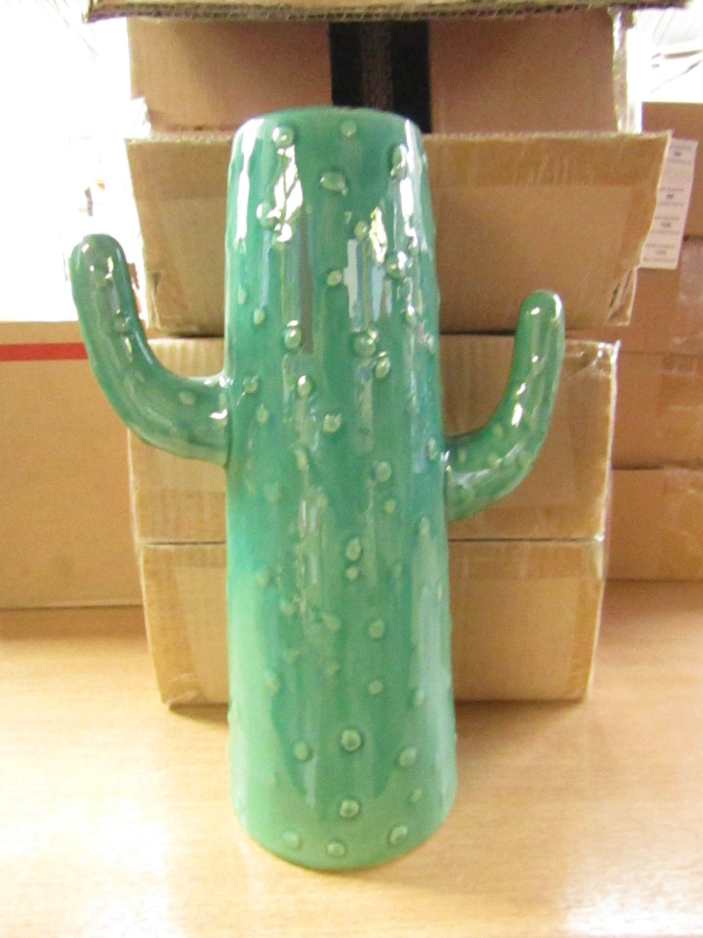 box of 2 x ceramic cactus vase, boxed
