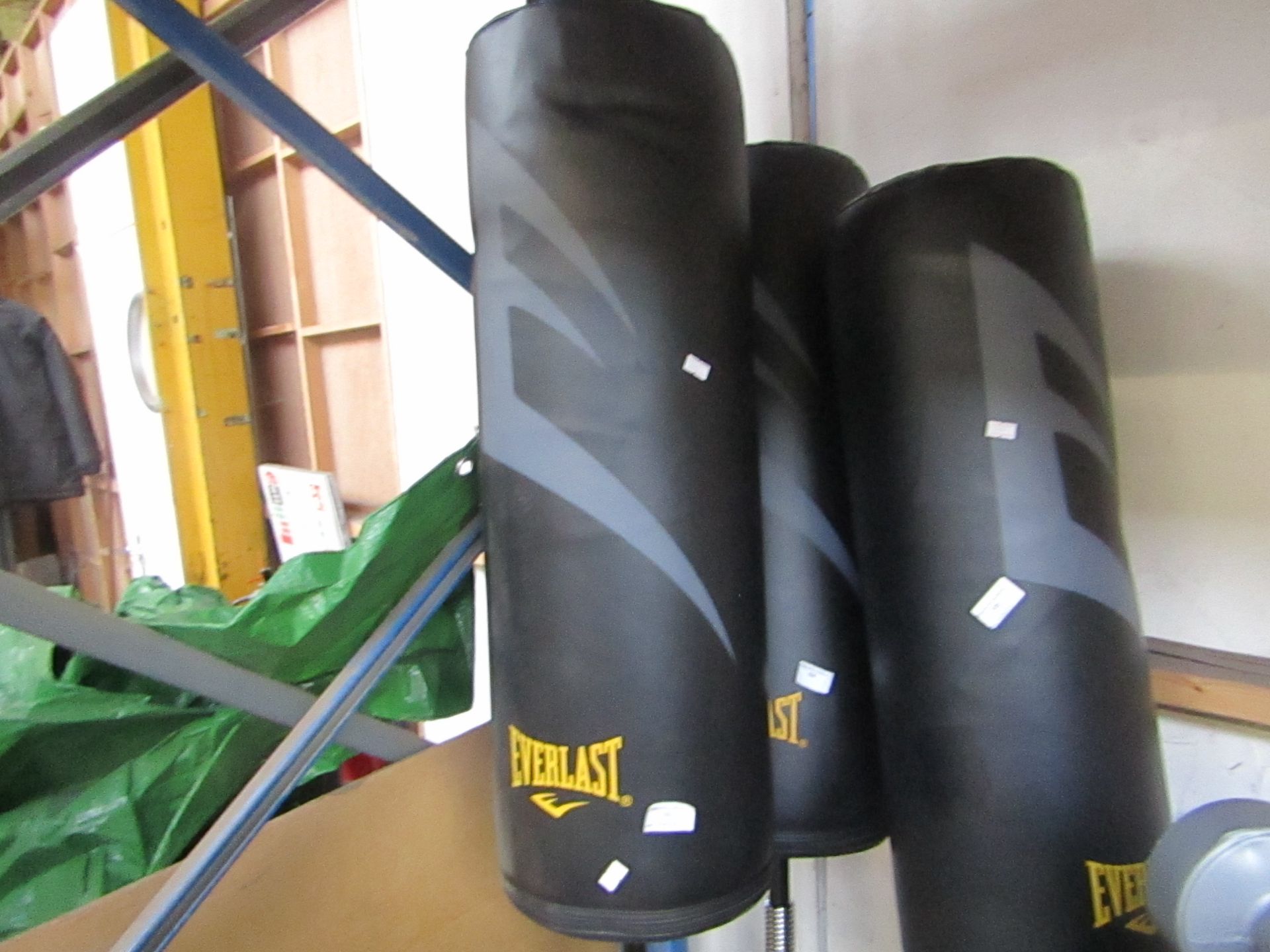 Everlast freestanding punch bag, needs attaching to the base but no screws.