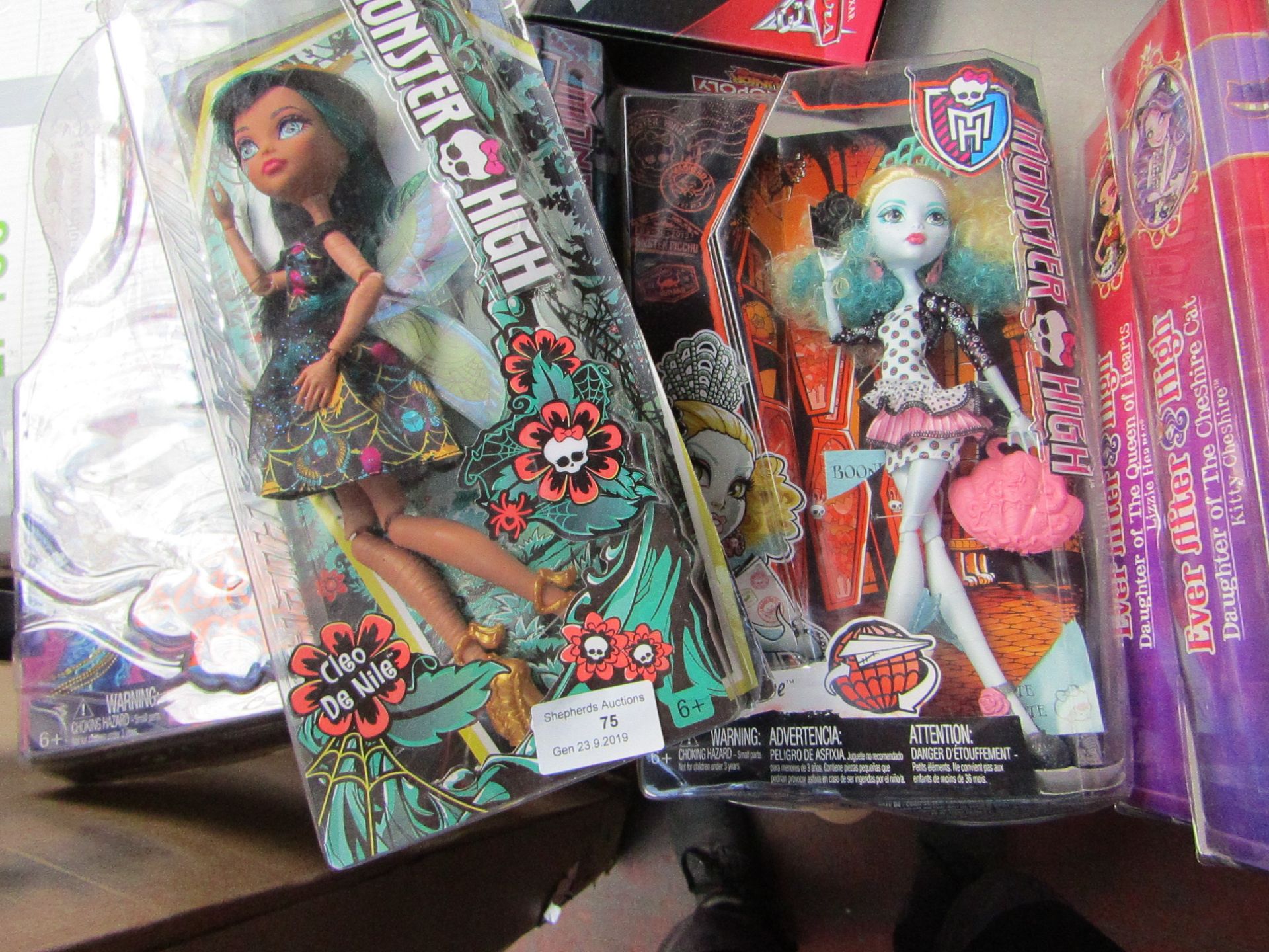 2 x Monster High Dolls.New & Packaged