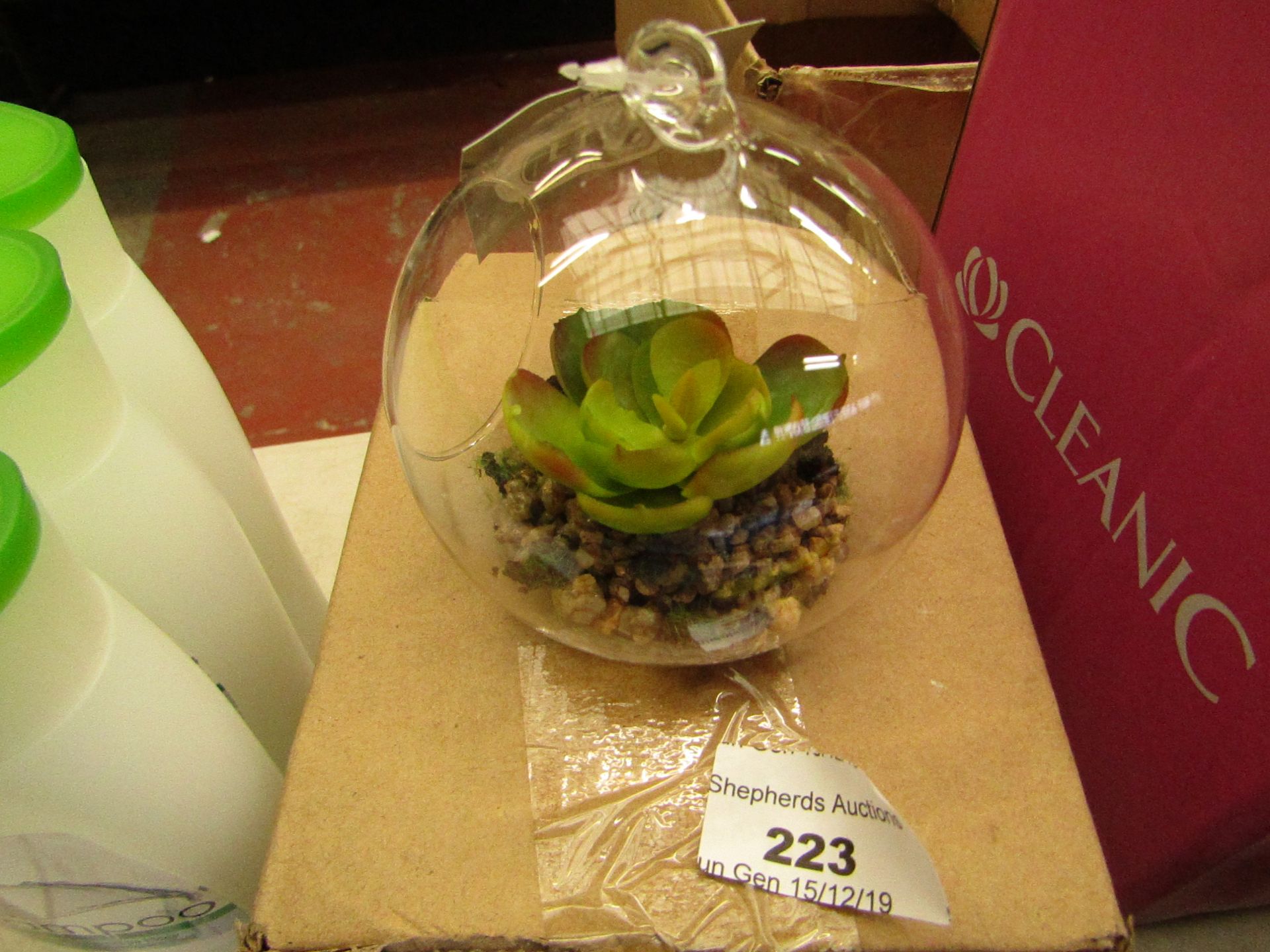 Small Glass ornament with an artificial plant inside. New & Boxed