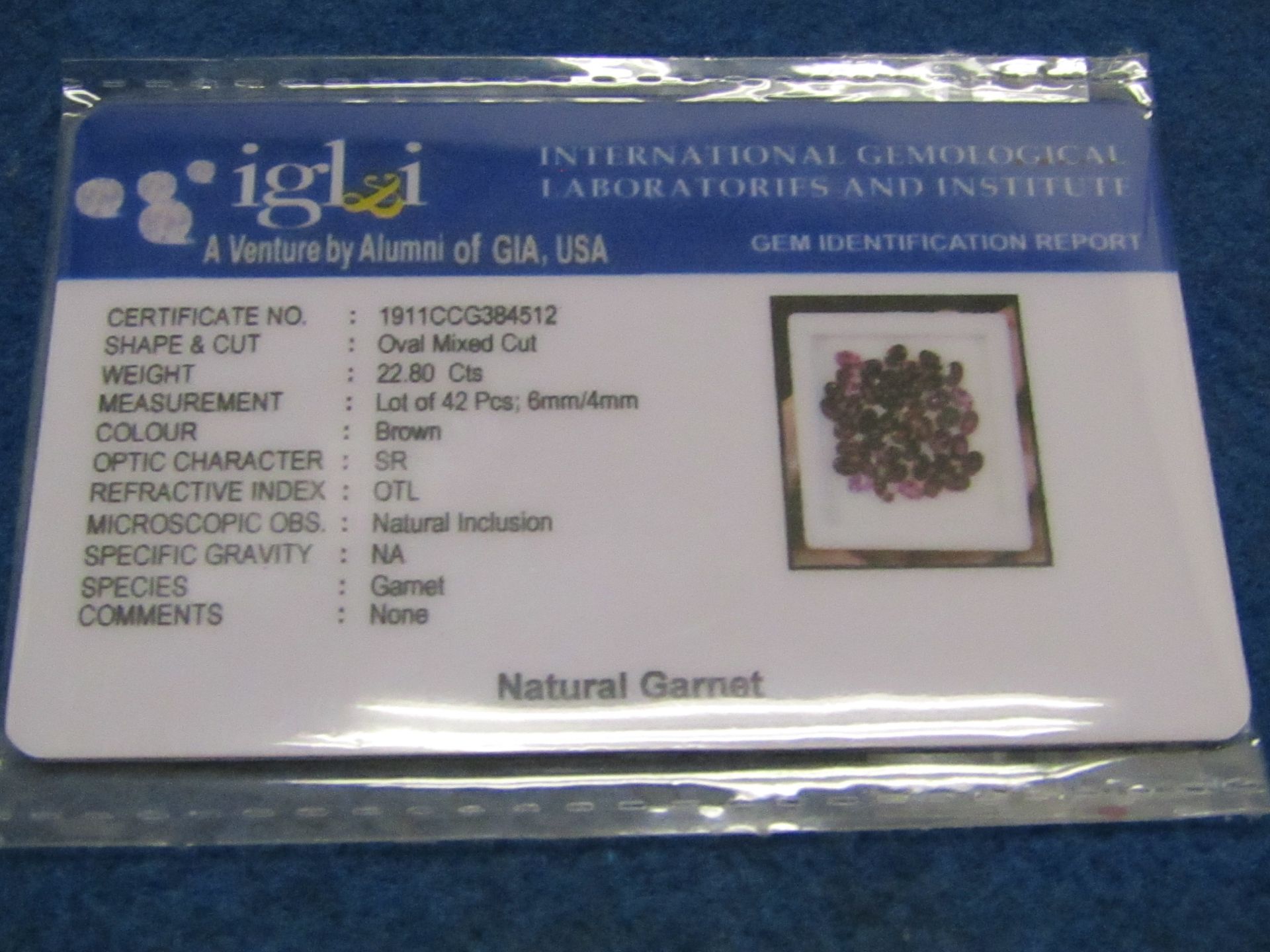 IGL&I Certified, A Company part of the GIA organisation, Natural Garnets 22.80 carat 42 pieces. A - Image 2 of 2