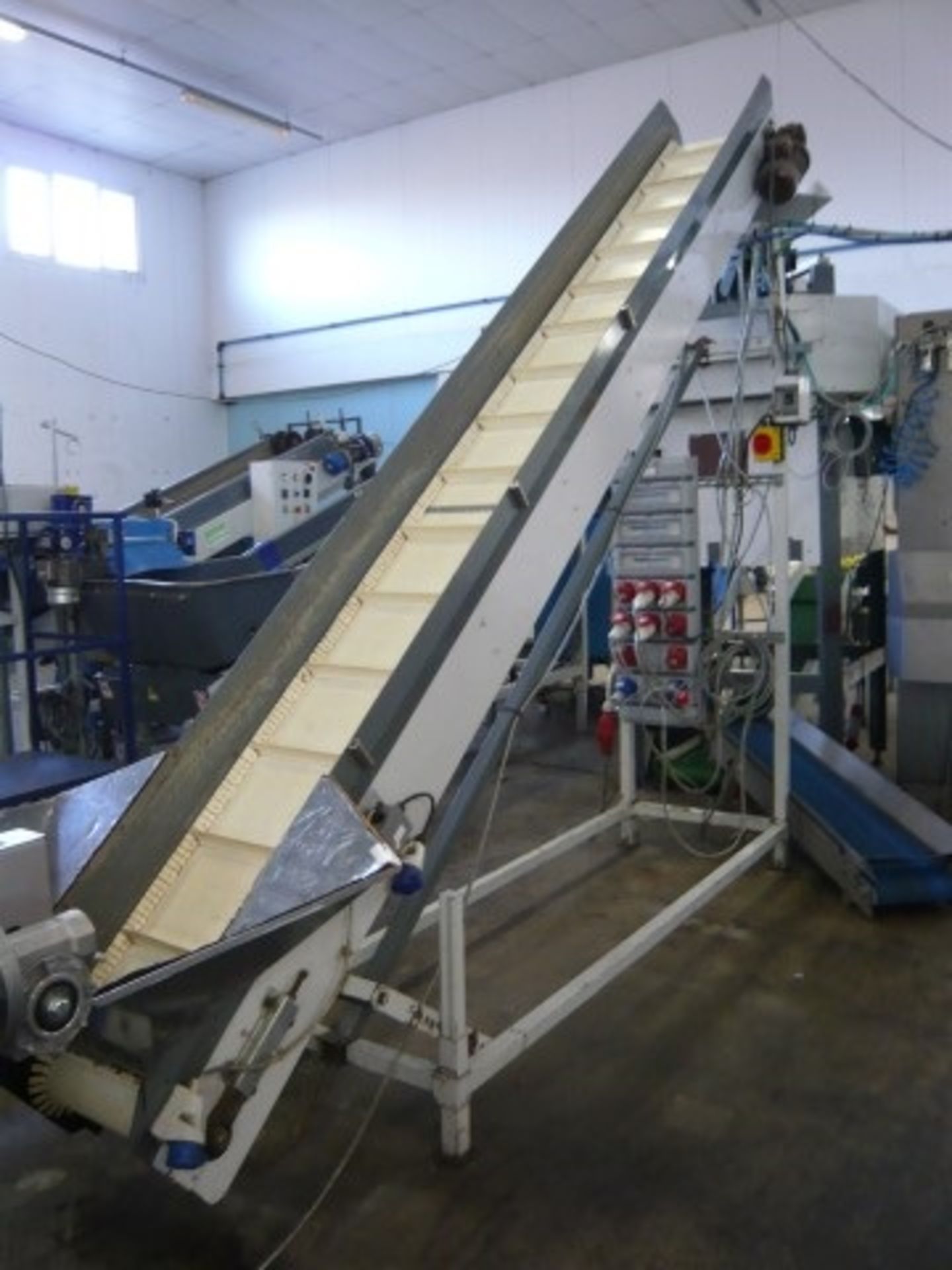 Citrus weighing & Bagging Line - Line 2 - Image 4 of 14