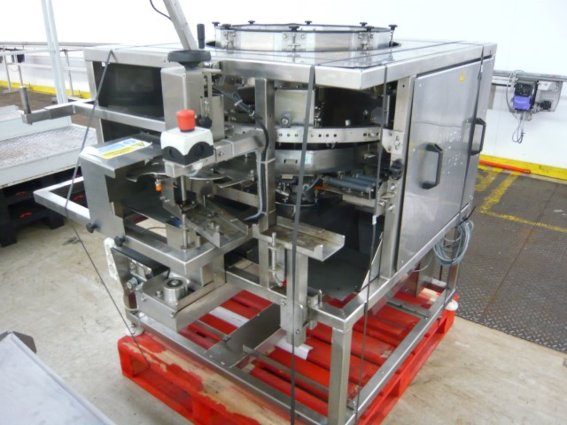 Blueberry weighing and packing line - Image 3 of 10