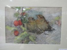 Framed & glazed watercolour signed Anna Dixon of 2 sparrows. Estimate £10-20.