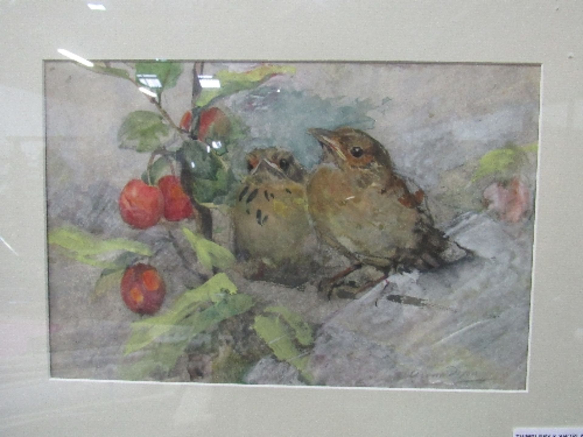 Framed & glazed watercolour signed Anna Dixon of 2 sparrows. Estimate £10-20.