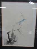 2 framed & glazed oriental bird pictures. Estimate £20-30.