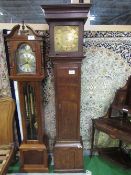 Oak long case clock with brass dial by James Staples of Odiham, single hand, 203cms high. As found.