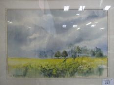 Framed & glazed watercolour of oilseed rape in bloom, signed Frankie Cummins (local artist).