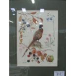 Framed & glazed print of cock pheasant & autumn fruits. Estimate £5-10.