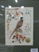 Framed & glazed print of cock pheasant & autumn fruits. Estimate £5-10.