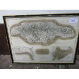Framed & glazed map of Jamaica & a framed oil on canvas woodland scene, signed H Ripley. Estimate £