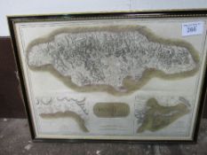 Framed & glazed map of Jamaica & a framed oil on canvas woodland scene, signed H Ripley. Estimate £