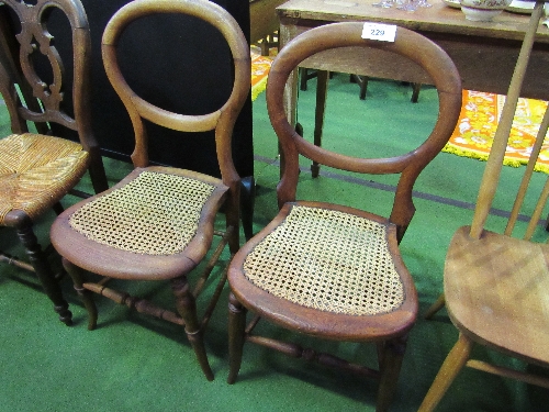 2 Victorian balloon back chairs with Bergere cane seats. Estimate £20-30.