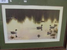 2 limited edition prints of water fowl signed Chris Rose. Estimate £5-10.