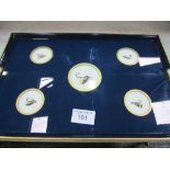 Tray with assorted fly fishing hooks. Estimate £10-20.