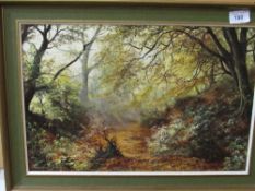 Oil on canvas woodland scene. Estimate £5-10.