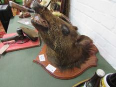 A boar's head on wooden shield. Estimate £20-30.