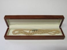 2 pairs of pearl earrings & 2 rope pearl necklace with sterling silver clasp. Estimate £40-60.
