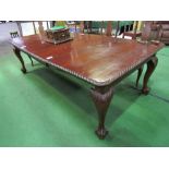 Large mahogany wind-out dining table on cabriole legs to ball & claw feet c/w handle, 306cms x