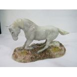 Beswick 2005 Camarque wild horse & Beswick 2005 Przewalski's wild horse, both limited edition & with