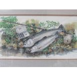Framed & glazed watercolour fishing tackle & caught fish. Estimate £15-25.