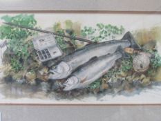 Framed & glazed watercolour fishing tackle & caught fish. Estimate £15-25.