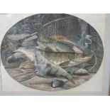 Framed & glazed lithograph of fish & antique fishing tackle. Estimate £40-50.