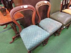 2 Victorian balloon back dining chairs. Estimate £10-20.