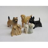 Beswick figurines: Chow Chow; Pair of Sheepdogs; Labrador; Scottish Terrier & Spaniel Puppies.
