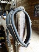 Old black leather collar, 18ins approx. with brass hames and straps