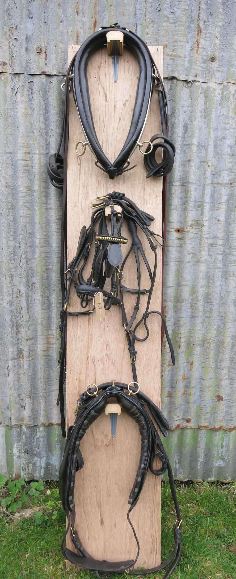 Single set of black/brass gig harness by Adams of Newbury with collar and hames, bridle and pad,