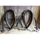 Pair of black leather collars with brass plated steel hames and straps, 23ins approx.; in show